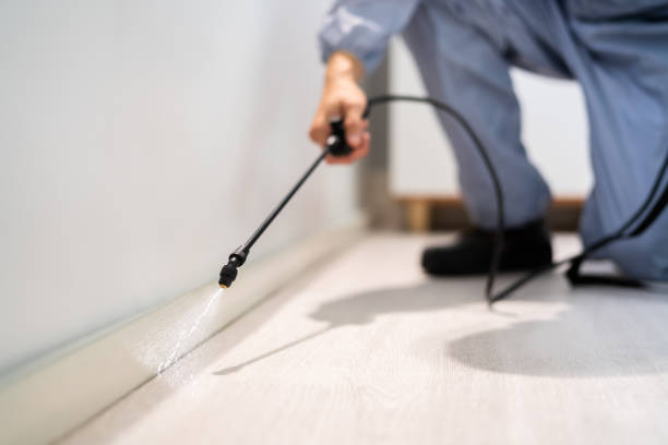 Licensed Exterminator service in York, AL - Show Me Pest Control